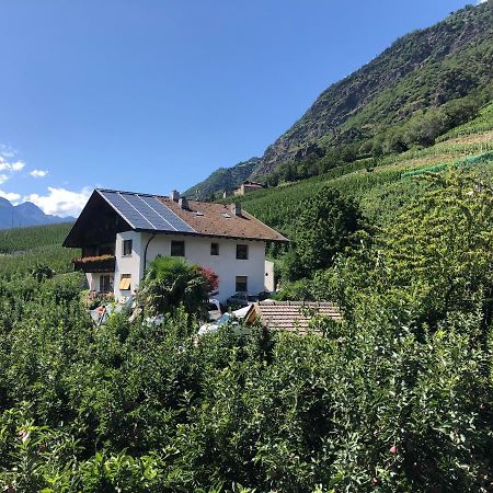 Апартаменти Pixnerhof - Urlaub Am Biohof Кастельбелло Екстер'єр фото