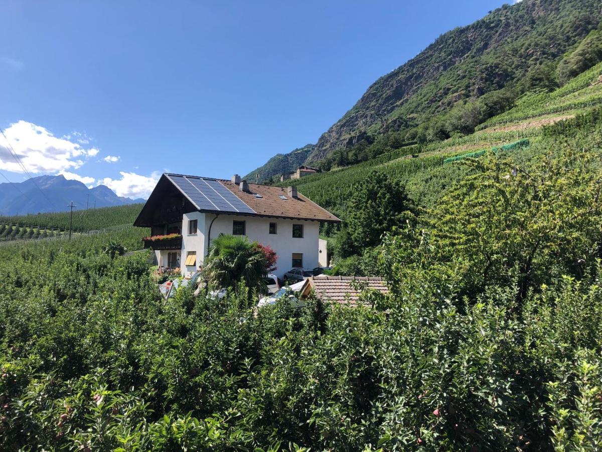 Апартаменти Pixnerhof - Urlaub Am Biohof Кастельбелло Екстер'єр фото