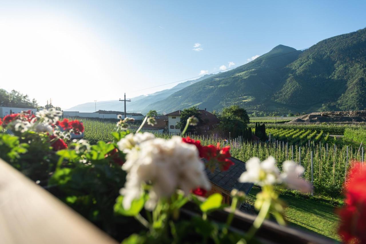Апартаменти Pixnerhof - Urlaub Am Biohof Кастельбелло Екстер'єр фото