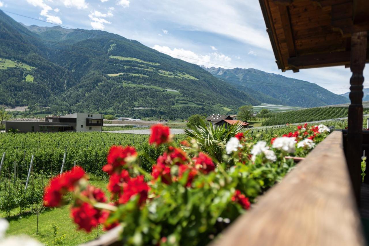 Апартаменти Pixnerhof - Urlaub Am Biohof Кастельбелло Екстер'єр фото