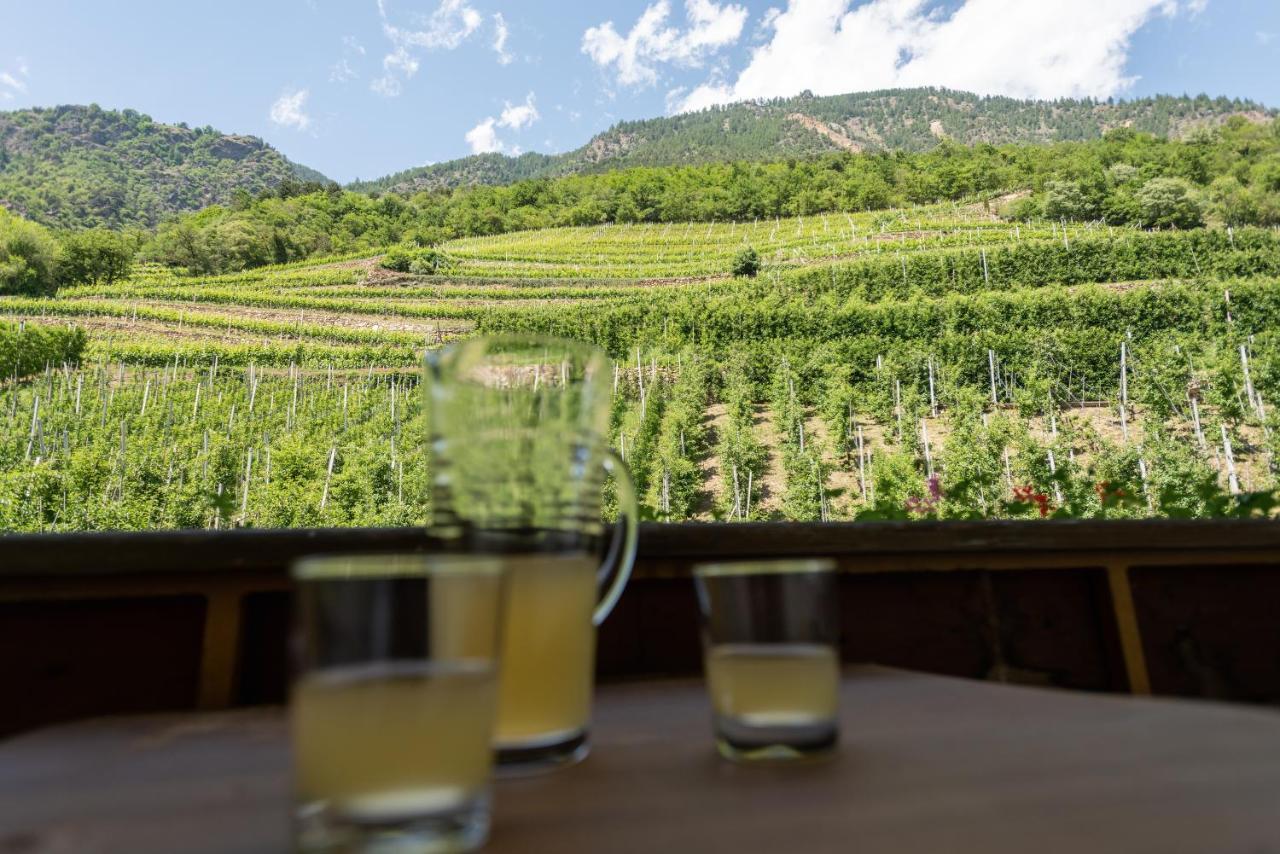Апартаменти Pixnerhof - Urlaub Am Biohof Кастельбелло Екстер'єр фото
